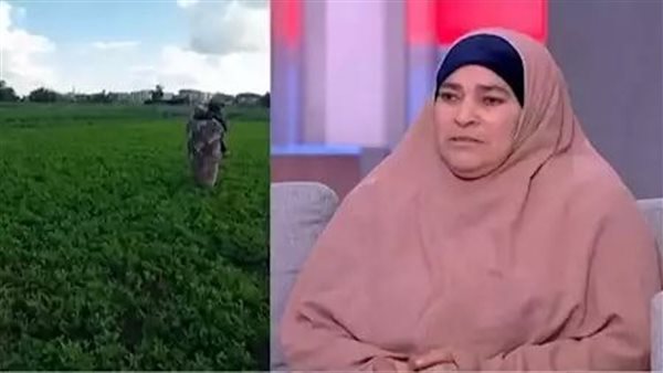 الحادثة