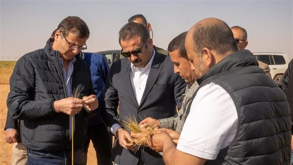 الحادثة