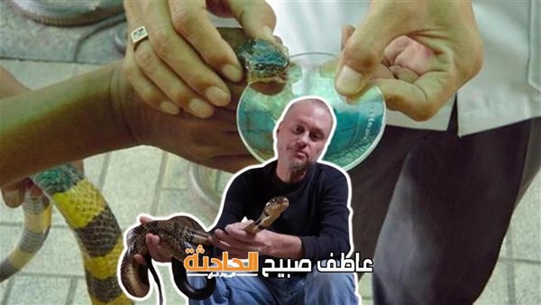 الحادثة