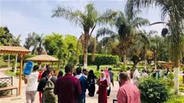 الحادثة